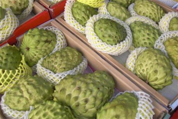 釋迦果為什么那么貴 產(chǎn)量比較低 釋迦果為什么那么貴 產(chǎn)量比較低