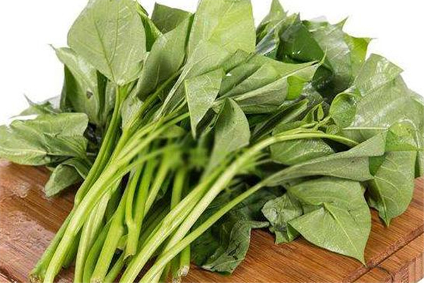 紅薯葉是酸性還是堿性 屬于堿性食物 紅薯葉是酸性還是堿性 屬于堿性食物