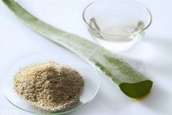 蘆薈面膜的作用 蘆薈面膜的功效 蘆薈面膜的作用 蘆薈面膜的功效