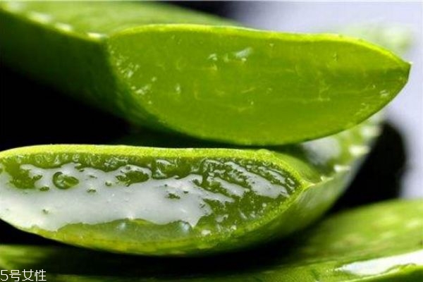 蘆薈面膜的作用 蘆薈面膜的功效 蘆薈面膜的作用 蘆薈面膜的功效