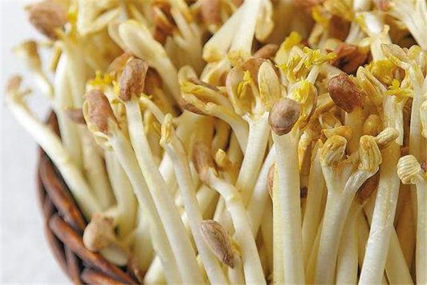 花生芽小孩可以吃嗎 對(duì)小孩好處多 花生芽小孩可以吃嗎 對(duì)小孩好處多
