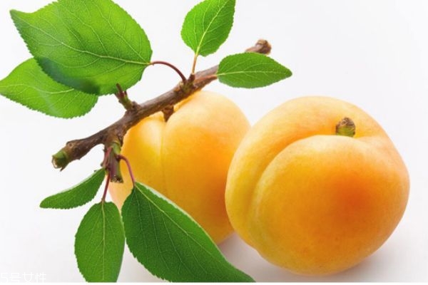 黃桃哪里產(chǎn)的好吃 黃桃怎么挑選 黃桃哪里產(chǎn)的好吃 黃桃怎么挑選