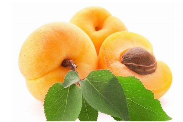 黃桃哪里產(chǎn)的好吃 黃桃怎么挑選 黃桃哪里產(chǎn)的好吃 黃桃怎么挑選