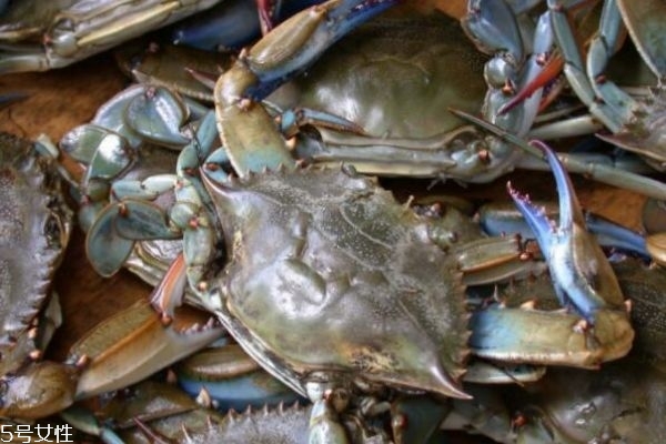 三門青蟹怎么做好吃 三門青蟹的做法 三門青蟹怎么做好吃 三門青蟹的做法