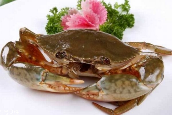 三門青蟹怎么做好吃 三門青蟹的做法 三門青蟹怎么做好吃 三門青蟹的做法