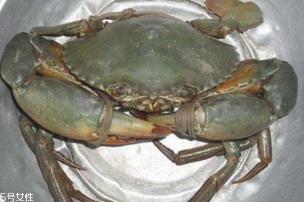 三門青蟹多少錢一斤 死了的三門青蟹不能吃 三門青蟹多少錢一斤 死了的三門青蟹不能吃