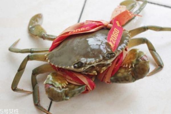 三門(mén)青蟹什么時(shí)候上市 三門(mén)青蟹的特點(diǎn) 三門(mén)青蟹什么時(shí)候上市 三門(mén)青蟹的特點(diǎn)