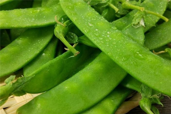 荷蘭豆和木耳可以一起炒嗎 沒有不利影響 荷蘭豆和木耳可以一起炒嗎 沒有不利影響