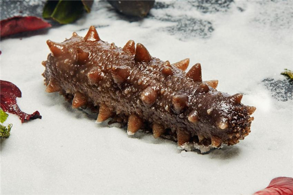 煮熟的海參隔夜還能吃嗎 看是否變質(zhì) 煮熟的海參隔夜還能吃嗎 看是否變質(zhì)