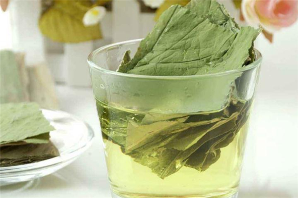 荷葉茶晚上能喝嗎 可以適量飲用 荷葉茶晚上能喝嗎 可以適量飲用