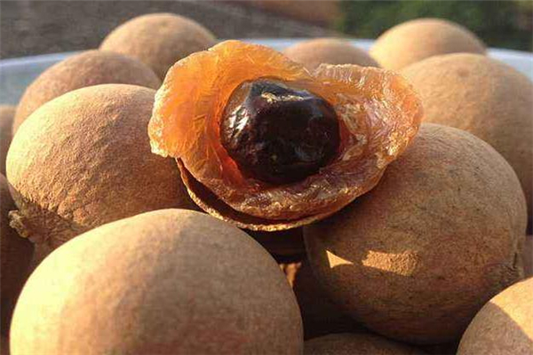 人流后可以吃桂圓嗎 一周后再吃 人流后可以吃桂圓嗎 一周后再吃