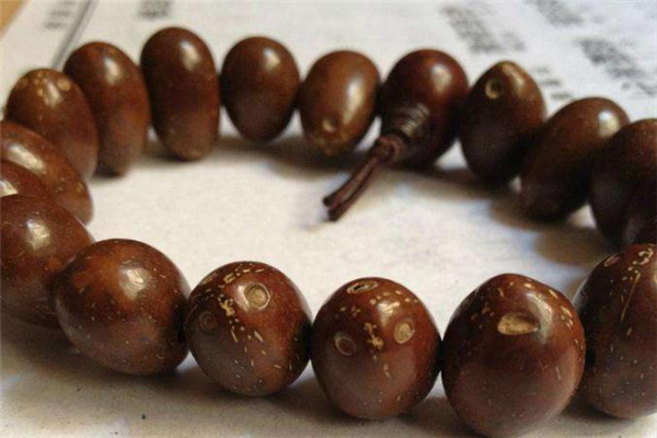 紫金鼠菩提怎么看好壞 選購(gòu)技巧要記住 紫金鼠菩提怎么看好壞 選購(gòu)技巧要記住