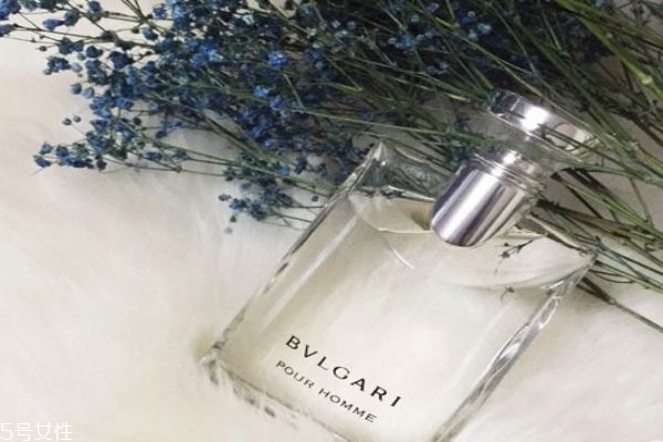 大吉嶺茶怎么辨別真假 大吉嶺茶真假 大吉嶺茶怎么辨別真假 大吉嶺茶真假