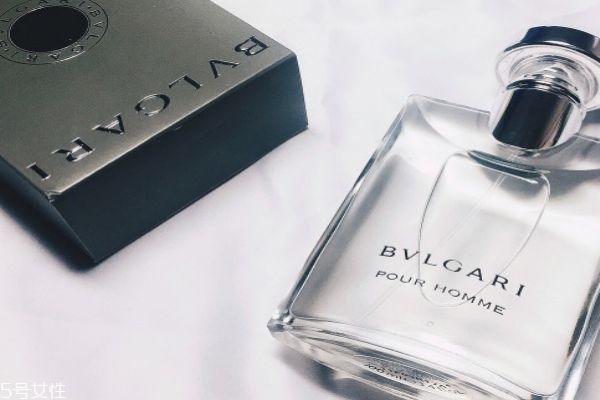 大吉嶺茶怎么辨別真假 大吉嶺茶真假 大吉嶺茶怎么辨別真假 大吉嶺茶真假