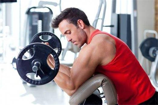 打造完美身材 健身輕松完成 打造完美身材 健身輕松完成