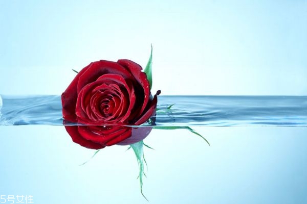 玫瑰水適合什么膚質(zhì) 使用玫瑰水的注意事項(xiàng) 玫瑰水適合什么膚質(zhì) 使用玫瑰水的注意事項(xiàng)