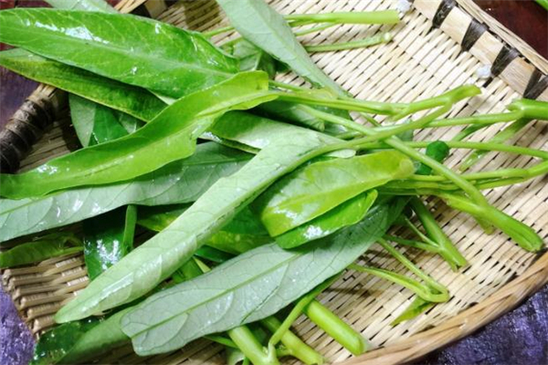 空心菜和木耳能一起吃嗎 營養(yǎng)價值很高 空心菜和木耳能一起吃嗎 營養(yǎng)價值很高