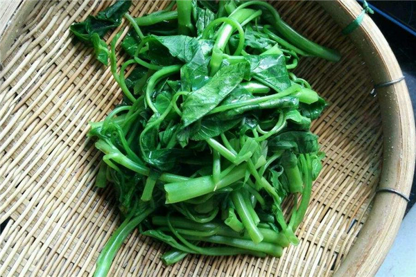 空心菜和木耳能一起吃嗎 營養(yǎng)價值很高 空心菜和木耳能一起吃嗎 營養(yǎng)價值很高