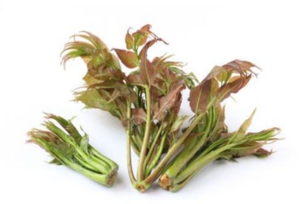香椿是否要過(guò)水 吃香椿的好處及吃法