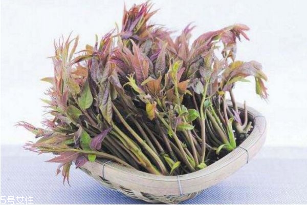 孕婦香椿能吃嗎 香椿的禁忌人群