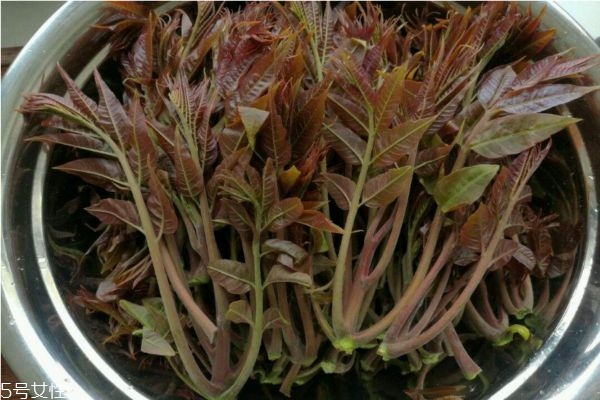 吃香椿過(guò)敏怎么辦 吃香椿過(guò)敏的癥狀 吃香椿過(guò)敏怎么辦 吃香椿過(guò)敏的癥狀