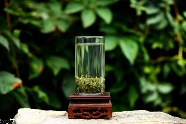 嶗山綠茶是什么茶 嶗山綠茶的功效與作用 嶗山綠茶是什么茶 嶗山綠茶的功效與作用