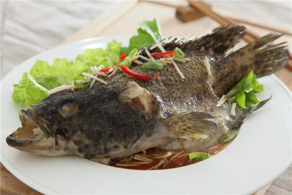石斑魚怎么做好吃 石斑魚的做法 石斑魚怎么做好吃 石斑魚的做法