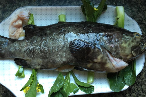 石斑魚怎么做好吃 石斑魚的做法 石斑魚怎么做好吃 石斑魚的做法