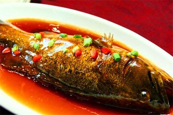 紅燒石斑魚的做法 家常做法很簡(jiǎn)單 紅燒石斑魚的做法 家常做法很簡(jiǎn)單