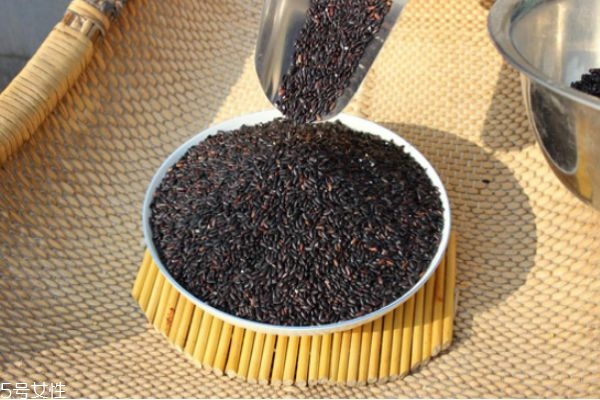 黑米健康飲食減肥法 快速減肥瘦身粥 黑米健康飲食減肥法 快速減肥瘦身粥