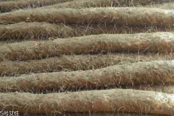 山藥削皮后怎么保存 如何儲(chǔ)存山藥不會(huì)變黑 山藥削皮后怎么保存 如何儲(chǔ)存山藥不會(huì)變黑