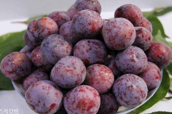 西梅吃多了會(huì)怎么樣 食用要適量 西梅吃多了會(huì)怎么樣 食用要適量