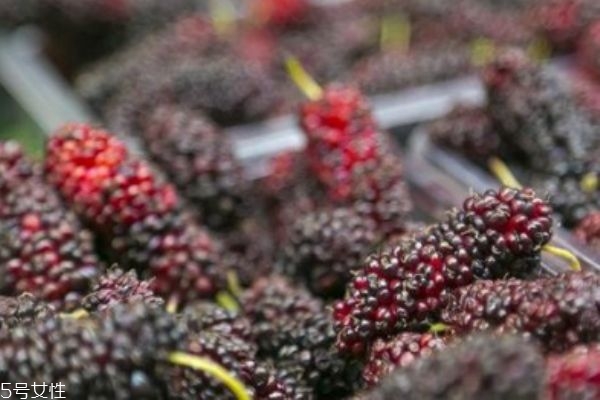 桑葚上有毛毛正常嗎 桑椹每日吃多少 桑葚上有毛毛正常嗎 桑椹每日吃多少