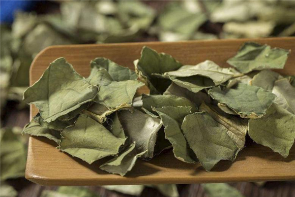 荷葉茶可以治便秘嗎 起緩解作用 荷葉茶可以治便秘嗎 起緩解作用