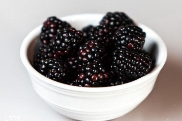 桑葚弄在衣服上怎么洗 吃不完的桑葚怎么處理 桑葚弄在衣服上怎么洗 吃不完的桑葚怎么處理