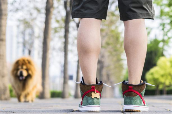 nike dunk sb遛狗配色多少錢 市場(chǎng)價(jià)已翻倍 nike dunk sb遛狗配色多少錢 市場(chǎng)價(jià)已翻倍