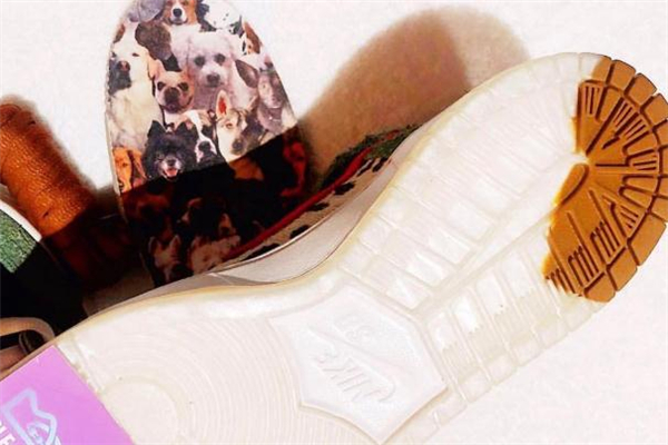 nike dunk sb遛狗配色多少錢 市場(chǎng)價(jià)已翻倍 nike dunk sb遛狗配色多少錢 市場(chǎng)價(jià)已翻倍