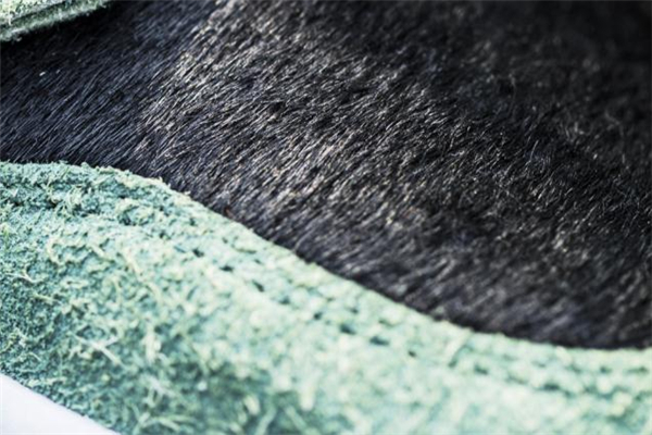 耐克dunk sb遛狗配色開箱測(cè)評(píng) 實(shí)物細(xì)節(jié)盡覽