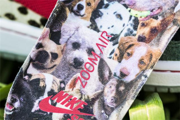 耐克dunk sb遛狗配色開箱測(cè)評(píng) 實(shí)物細(xì)節(jié)盡覽
