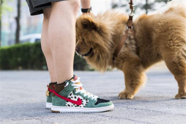 耐克dunk sb遛狗配色開箱測(cè)評(píng) 實(shí)物細(xì)節(jié)盡覽