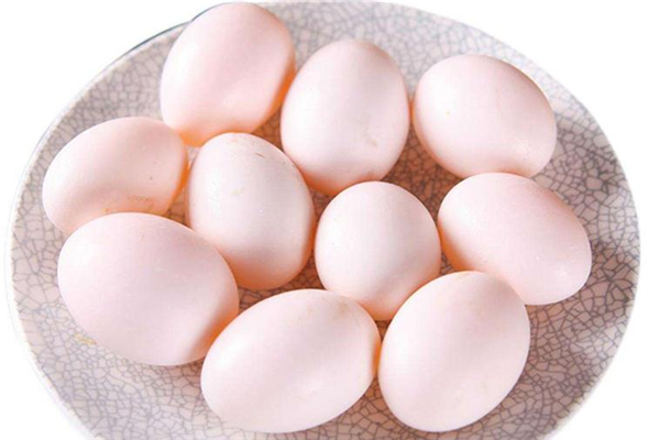 鴿子蛋是涼性的嗎 鴿子蛋屬性介紹 鴿子蛋是涼性的嗎 鴿子蛋屬性介紹