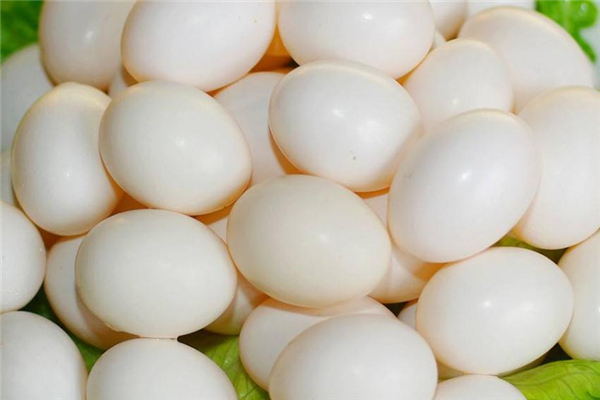 鴿子蛋吃了會上火嗎 避開熱性食物 鴿子蛋吃了會上火嗎 避開熱性食物