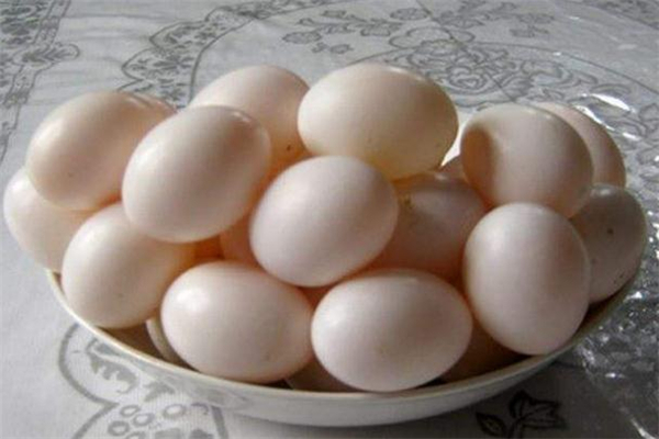 鴿子蛋吃了會上火嗎 避開熱性食物 鴿子蛋吃了會上火嗎 避開熱性食物