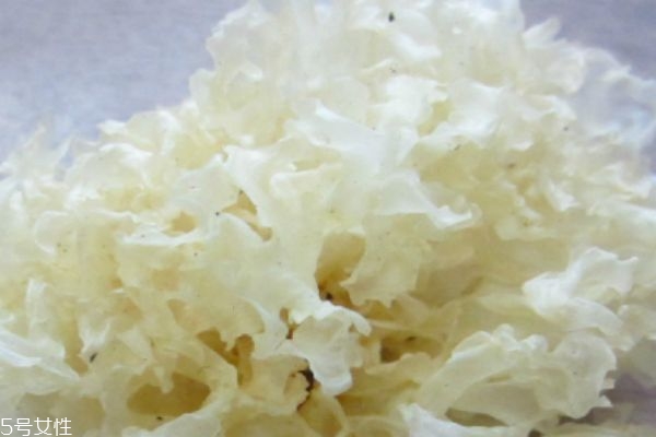 銀耳湯是涼性的嗎 銀耳湯可以放多久 銀耳湯是涼性的嗎 銀耳湯可以放多久