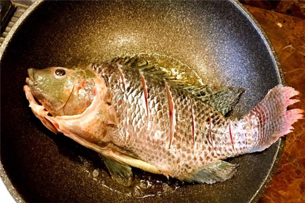 孕婦能吃羅非魚(yú)嗎 不過(guò)敏就可以吃