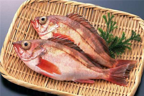 坐月子可以吃加吉魚嗎 有益產(chǎn)婦傷口愈合