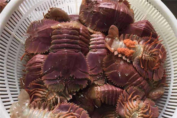 琵琶蝦的做法 琵琶蝦怎么做好吃 琵琶蝦的做法 琵琶蝦怎么做好吃