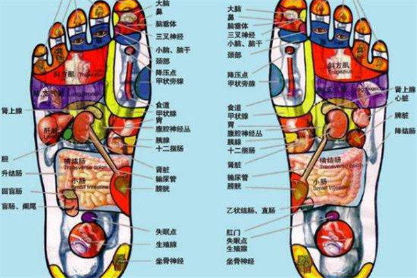 腳上有哪些穴位 哪些穴位代表身體健康 腳上有哪些穴位 哪些穴位代表身體健康