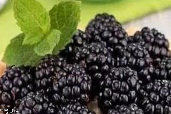桑葚放一晚上會壞嗎 怎么判斷桑葚變質了 桑葚放一晚上會壞嗎 怎么判斷桑葚變質了