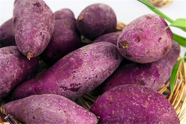 紫薯發(fā)糕怎么做 紫薯功效 紫薯發(fā)糕怎么做 紫薯功效